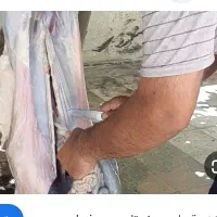 ذبح گوسفند .بره . مرغ خروس سیار
