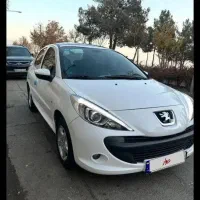 ۲۰۷ پاناروما مدل۱۴۰۲ بی رنگ شاستی پلمپ