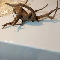 تزعینی اکواریم