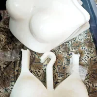 رگال و وسایل مغازه لباس زیر فروشی در حد نو|فروشگاه و مغازه|ری, هاشمآباد|دیوار