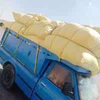 فروش کاه گندم