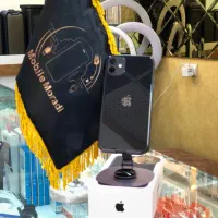 IP 11