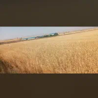 فروش یک قطعه زمین کشاورزی .همدان