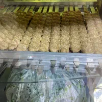 آشپز وکمک آشپز