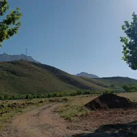 هرس درختان و سم پاشی|خدمات باغبانی و درختکاری|فولادشهر, مسکن مهر فولادشهر|دیوار