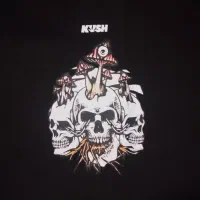 تیشرت های Groovy تراکم بالا پاییزه زمستانه  Dope|لباس|قشم, |دیوار