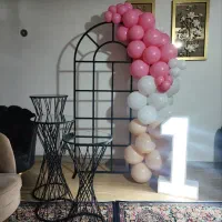 ظروف کرایه ارسلان|خدمات پذیرایی، مراسم|دماوند, گیلاوند|دیوار