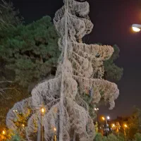 درخت چوب اره برقی هرس کاری قطع درخت رفع خطر|خدمات باغبانی و درختکاری|تهران, قیطریه|دیوار