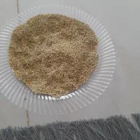 دانه براپرنده