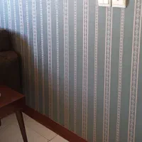 کاغذ دیواری خارجی