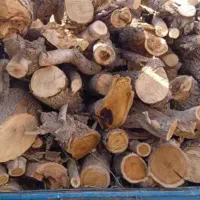 چوب هیزمی باغی ضایعات