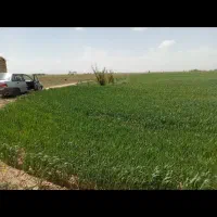 اجاره زمین کشاورزی