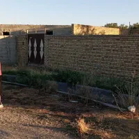 زمین|فروش زمین و ملک کلنگی|سیلوانه, |دیوار