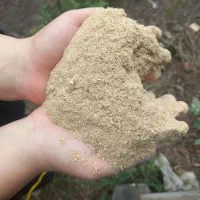 سبوس برنج ( کپک) دانه دار