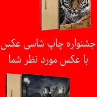 جشنواره شاسی عکس