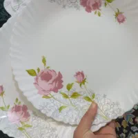 فروش وسایل لازم خانگی|ظروف سرو و پذیرایی|دهدشت, |دیوار