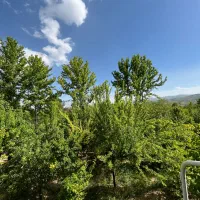 فروش باغ خان زنیان بر اصلی