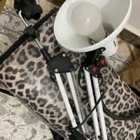 لوازم کاشت ناخن|آرایشگاه و سالنهای زیبایی|رشت, کاکتوس|دیوار