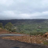 اجاره طبقه بالا پارک ماشین