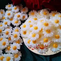 گیفت شمع|صنایع دستی و سایر لوازم تزئینی|خمینی‌شهر, |دیوار