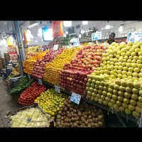 نیرو میوه فروشی