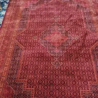فرش ۶ متری ریزه ماهی