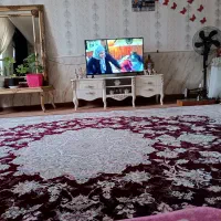 فرش ۱۲ متری تک