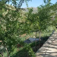 فروش باغ در سپیدان|فروش زمین و ملک کلنگی|سپیدان, |دیوار