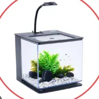 آکواریوم|ماهی|شیراز, میانرود|دیوار