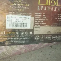 موکت وگلیم سالم