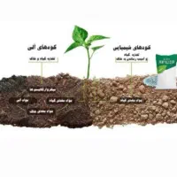 کمپوست گیاهی