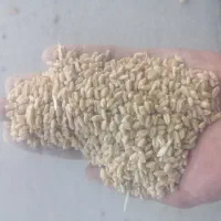 فروش گندم آبی درجه یک|خوردنی و آشامیدنی|گلپایگان, |دیوار