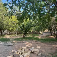 500-متر-باغ-30-ساله-در-دماوند-داخل-بافت