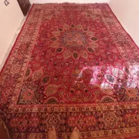 فرس دست باف پشمی ۳،۴|فرش|مشهد, تلگرد|دیوار