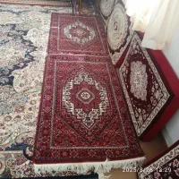 فرش دستبافت زرچرک یکجفت|فرش|زنجان, |دیوار