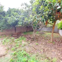 فروش زمین در خیابان تهران البرز 110