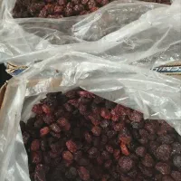 الو  محلی تازه