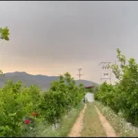 ویلا باغ