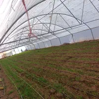 فروش گلخانه 500 متری گالوانیزه|مصالح و تجهیزات ساختمان|نصر آباد, |دیوار