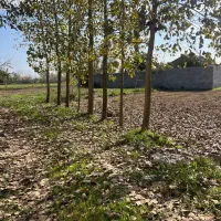 کرایه ویلادوبلکس|اجارهٔ کوتاه‌مدت ویلا و باغ|خشکبیجار, |دیوار