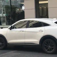 دیگنینتی پرایم 1404