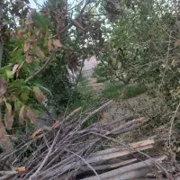 خانه باغ روستایی مناسب زندگی وسکونت و انشعابات