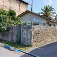 فروش کلنگی درجه ۱ نشتارود