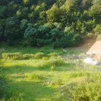 زمین-فروشی