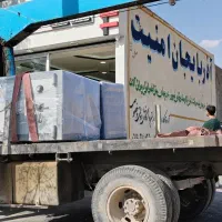 گاوصندوق 866809