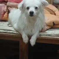 وقتی یک اشتباه قربانی بی گناه میگیرد