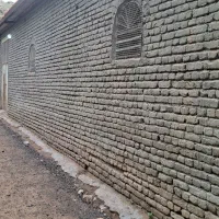 کود خالص گوسفندی