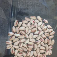 انواع پسته و مغز پسته موجود هست|خوردنی و آشامیدنی|بلداجی, |دیوار