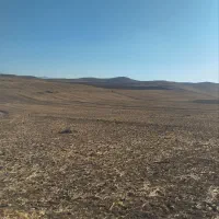 فروش2هکتار زمین کشاورزی بارانی|فروش دفتر صنعتی، کشاورزی، تجاری|محمدبار, |دیوار