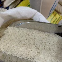 طارم محلی یکدست ، خوش عطر و درجه محصول گرگان